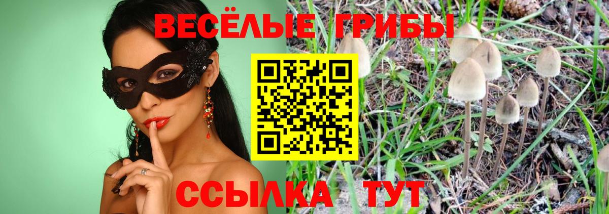 Псилоцибиновые грибы мухоморы Лесной