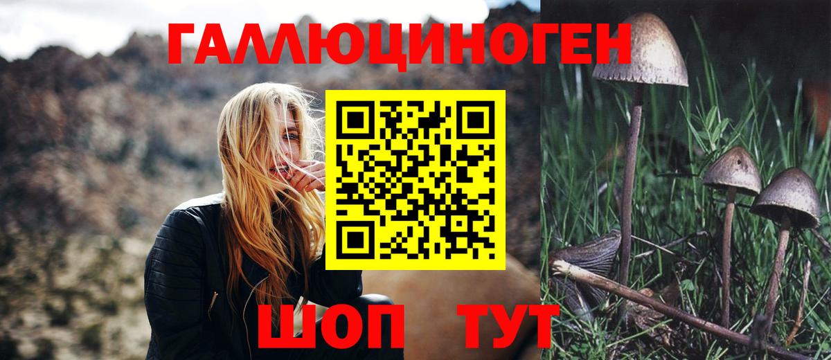 Псилоцибиновые грибы прущие грибы  Вход с VPN  Лесной 